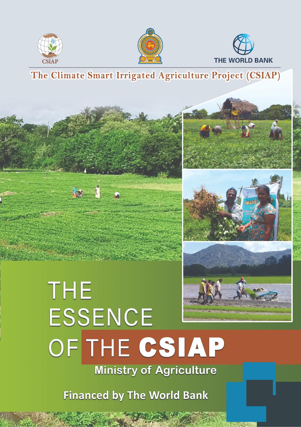 The Essence of the CSIAP